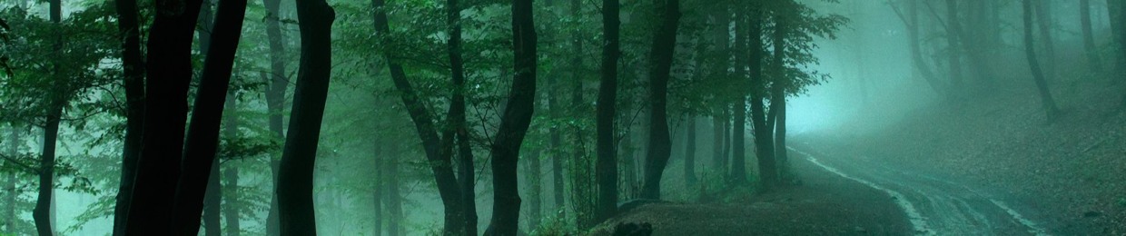 Stefan Valentin Mihai