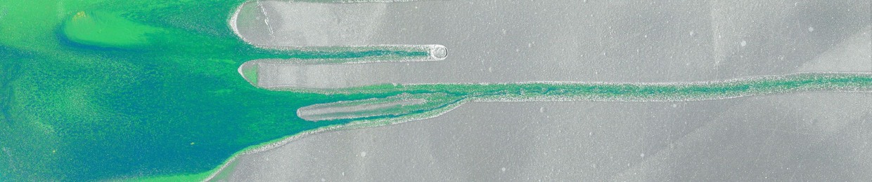 Digital-0asis