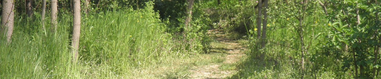 FormaHydra2
