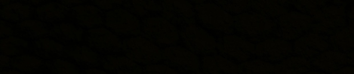 Darkfire 2