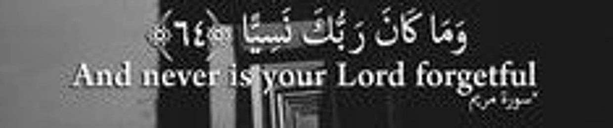 Ahmed AboDaif
