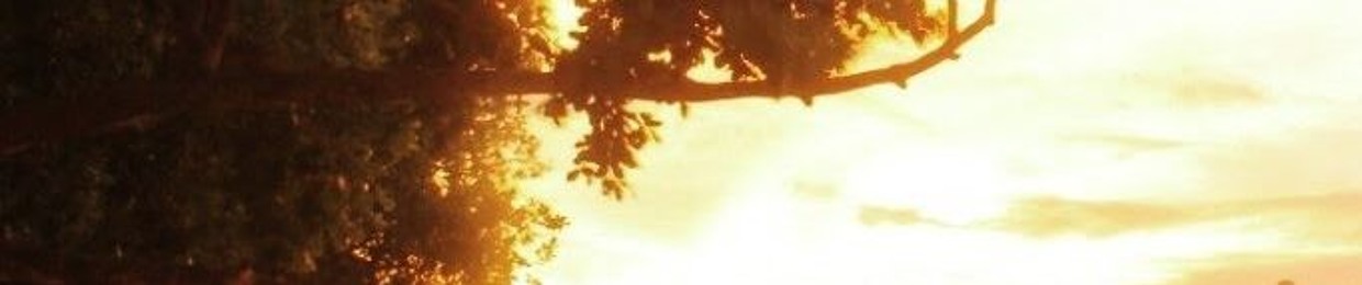 Lukman Dwi Hadi Putra Sriwidodo