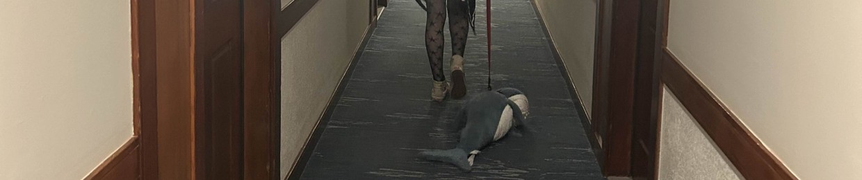 notspookymoo