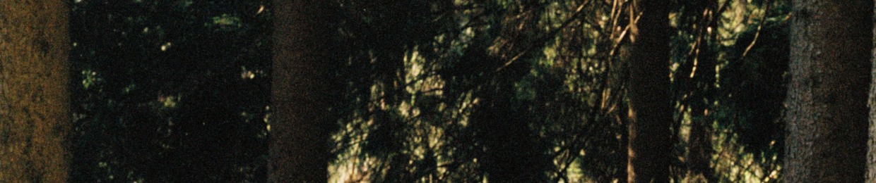 Florian TM Zeisig