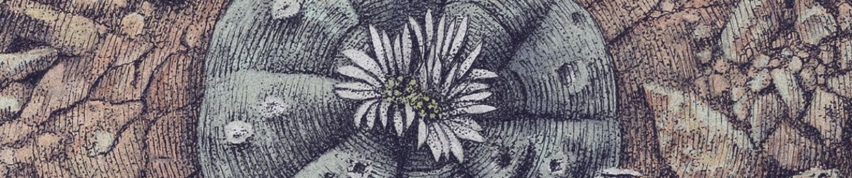 Tuna de Tierra (Official)