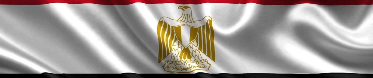 ‫حسن محمد Mohamed‬‎