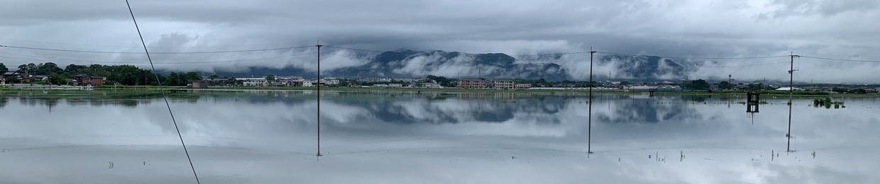 Kamimine_import/export