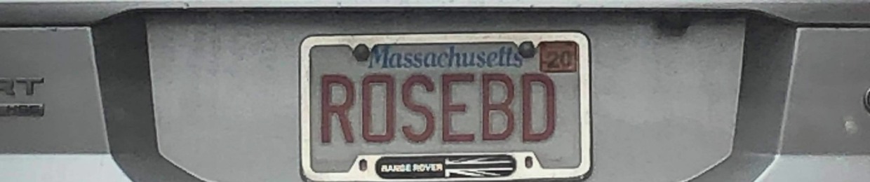 @jamieroseband