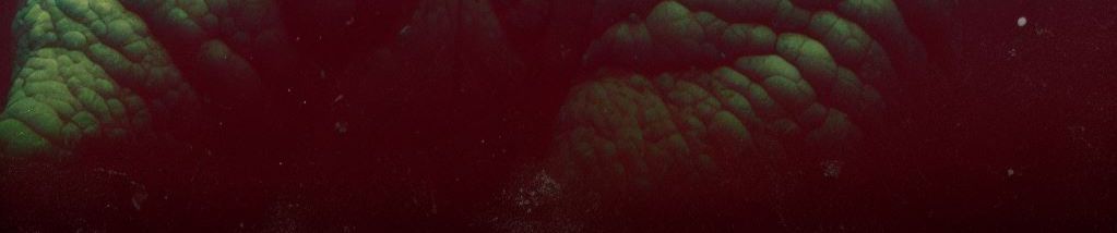 SoundCloud banner for @rainbow