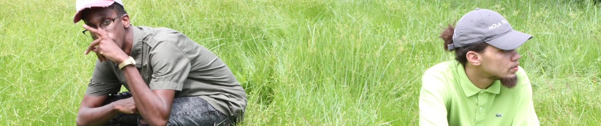 Higher Balance Music