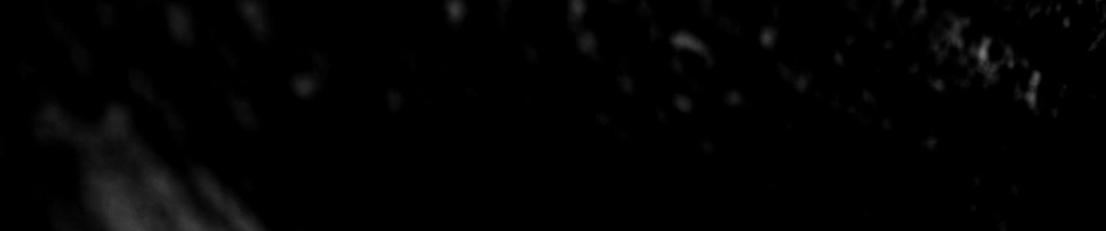 Prathiba Xavier Fernando