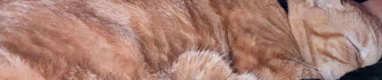 Meatwad