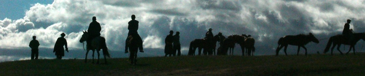 Mongolerdene