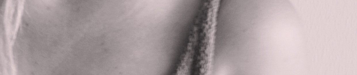 Sofia's secret archives