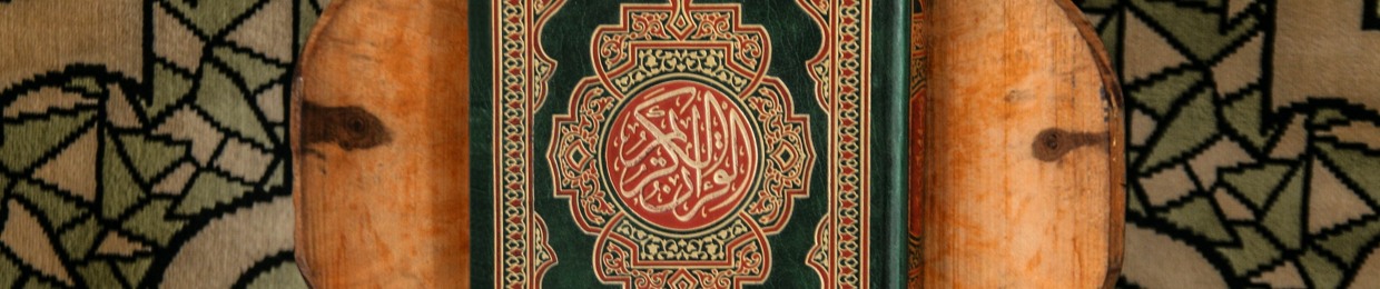 أحمد الديب