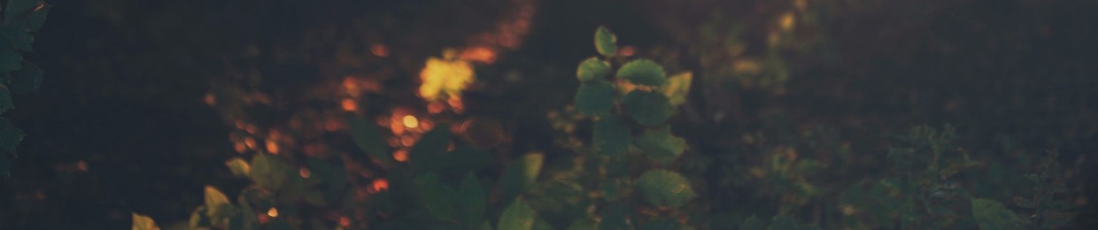MintFire