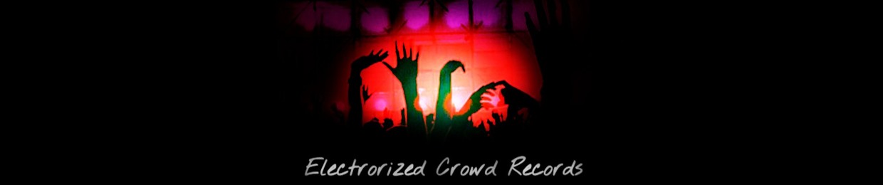 Electrorized Crowd Recs