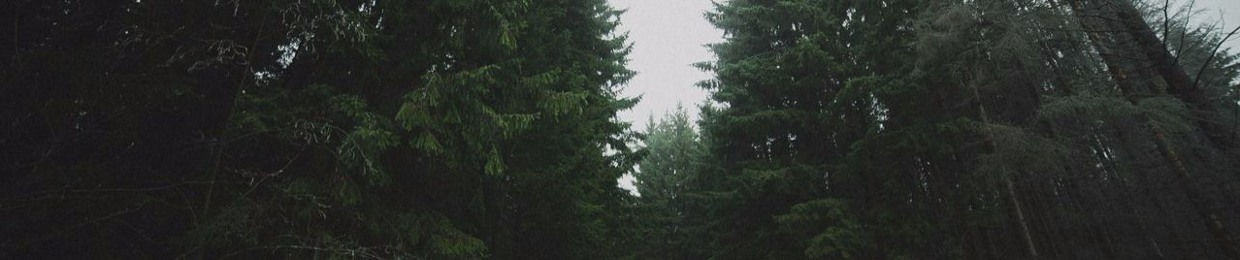 FEOKTISTOV.