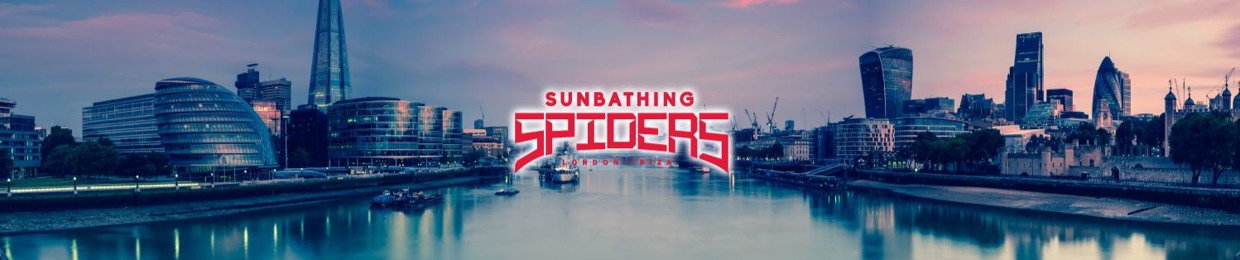 Sunbathing Spiders