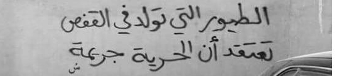 Ahmed Soliman