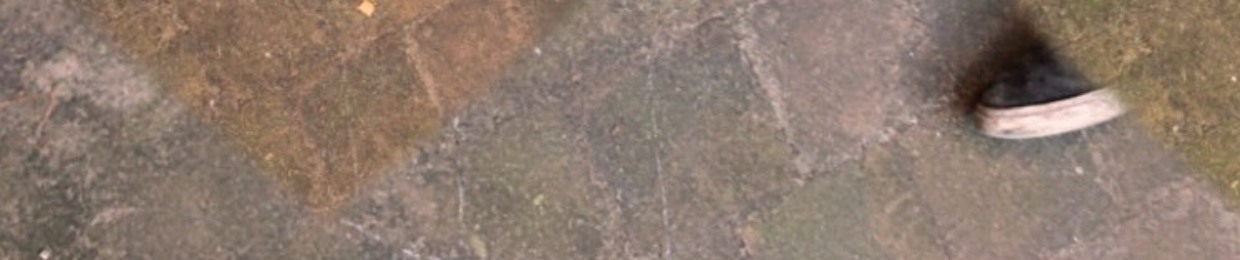 Timo Vandendriessche