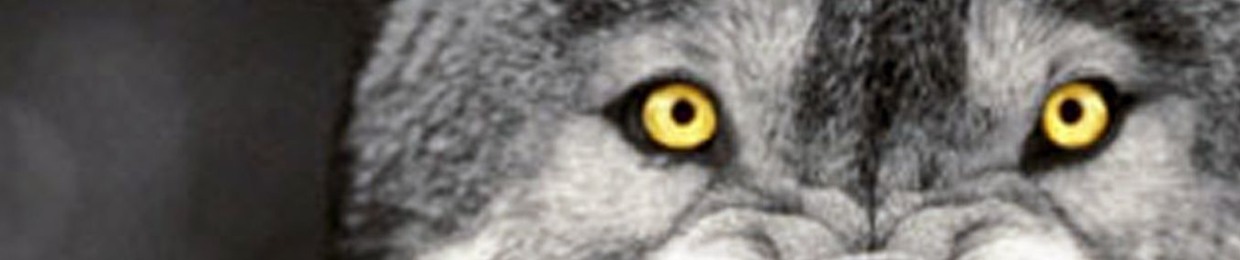 pYpruS