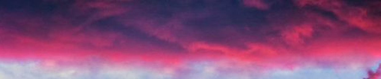 Ashley Barrett-Hamilton