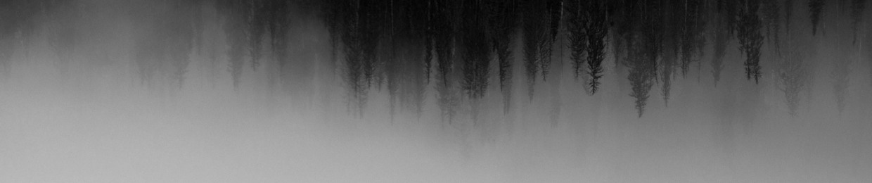 ΛNDROITH (official)