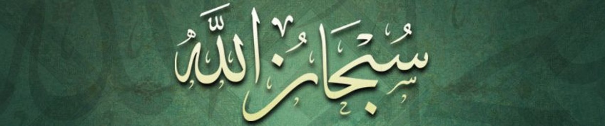 Ahmed Elshazly