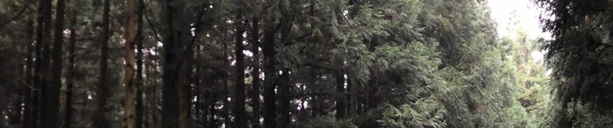 takahashijoe