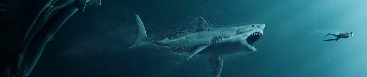 ABDuLLah-Shark-Music🎵⭐