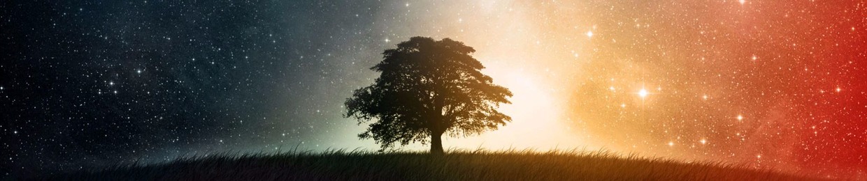 Nordic Sounds Remixes