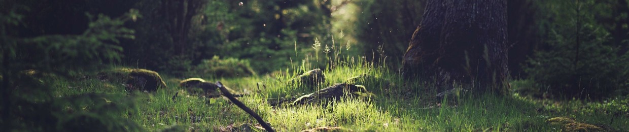 FeatherValleyProductions