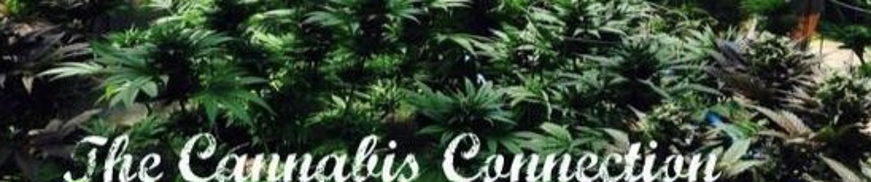 the.cannabis.connection