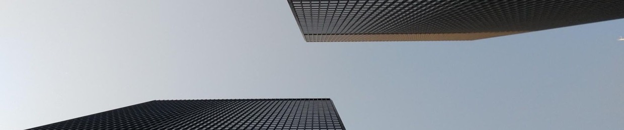 SVN