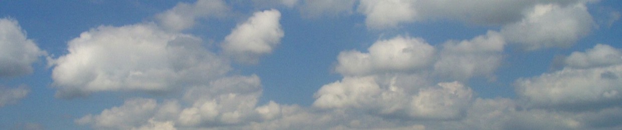 Startledpoodle