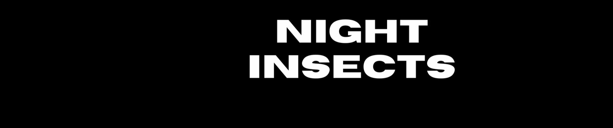 Night Insects