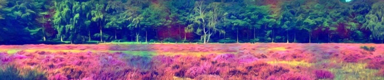 The Psychedlic Apocalypse
