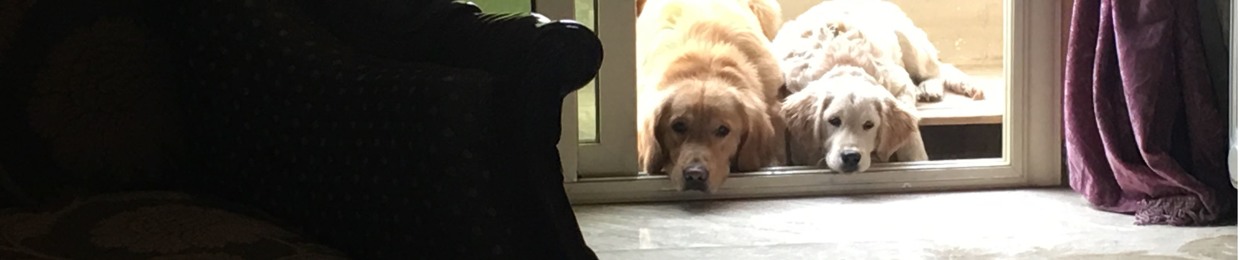 designer.haitham.elmaghra