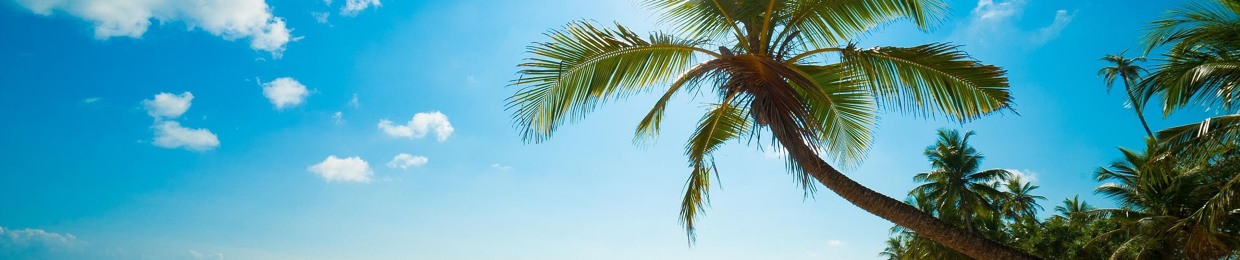 Lazy Summer