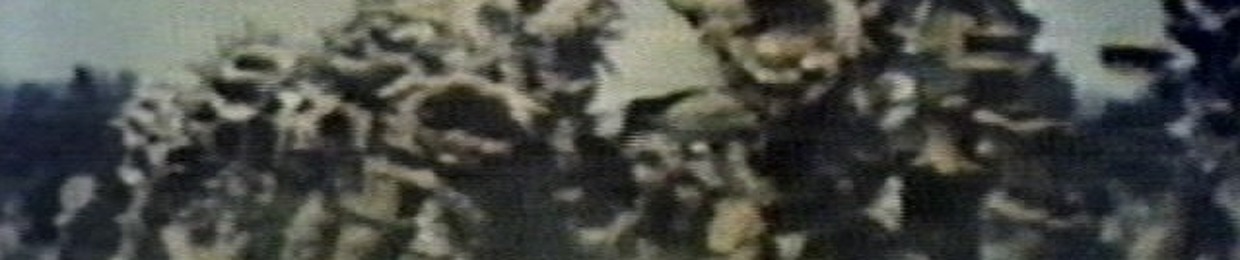 RandomEtc