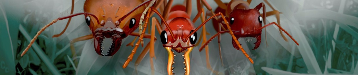 Friend of ants