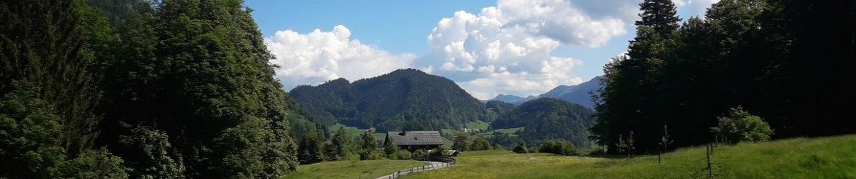 Domsenik