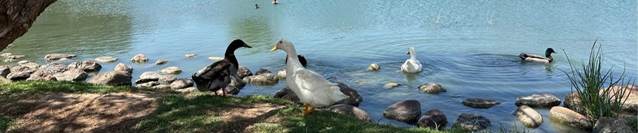 dux unlimited