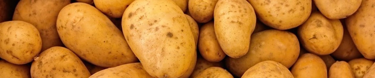 Jeremy Spuds