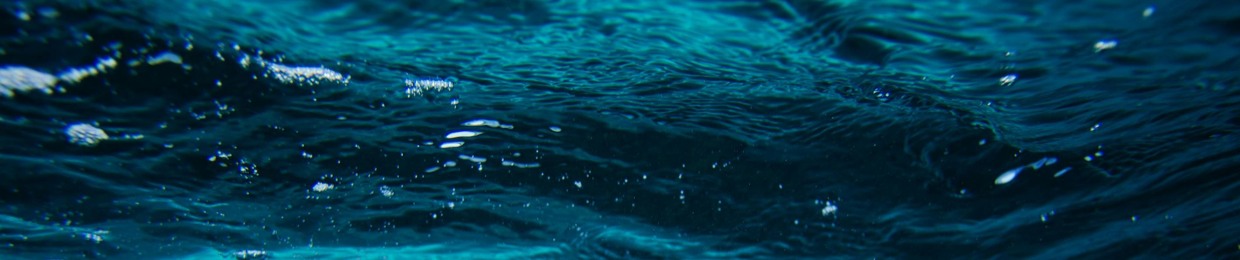 Nibbles Floats