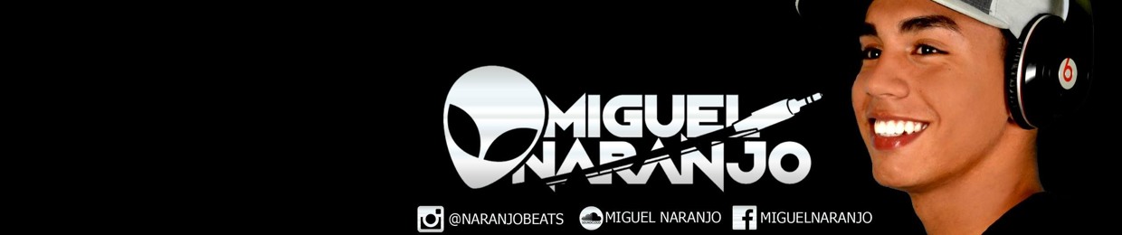 Miguel Naranjo (Perfil 2)