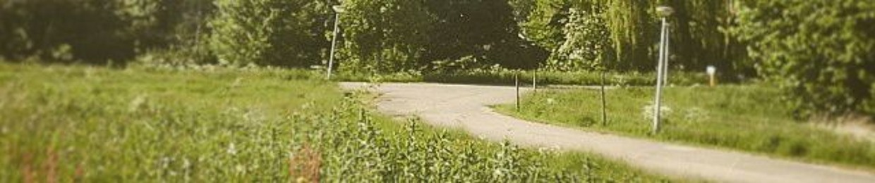 The Rustle of Yggdrasil