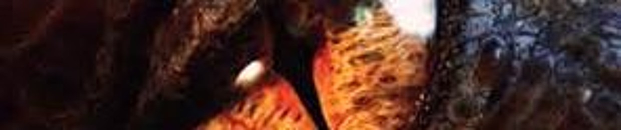 Smaug Firedragon