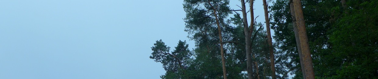 Caravelle